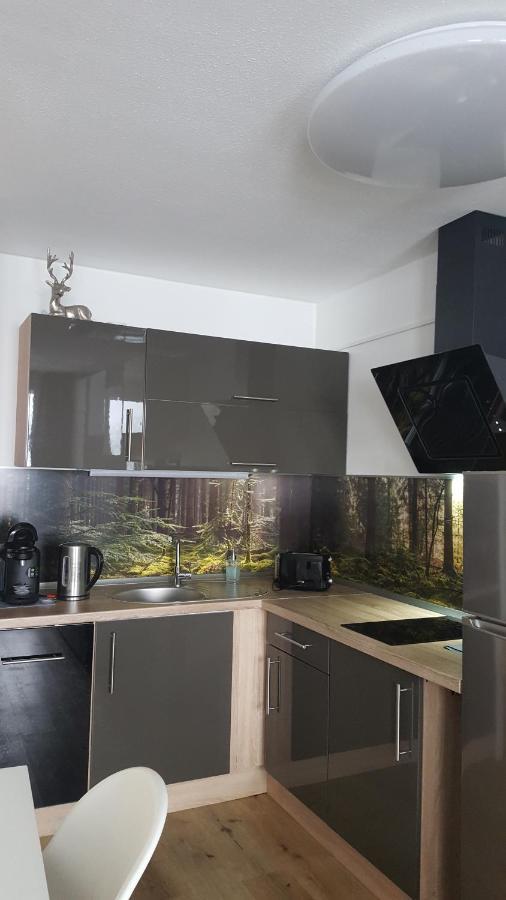 Ferienwohnung Mit Blick In Den Bayrischen Wald Oberhalb Von Sankt Engelmar 圣恩吉玛 外观 照片