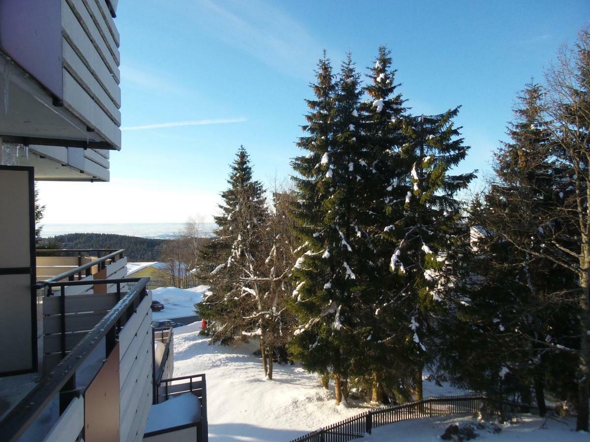 Ferienwohnung Mit Blick In Den Bayrischen Wald Oberhalb Von Sankt Engelmar 圣恩吉玛 外观 照片