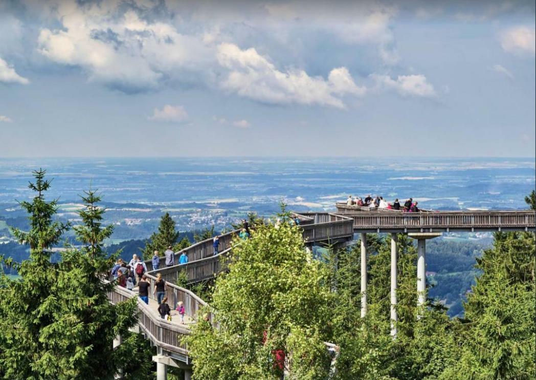 Ferienwohnung Mit Blick In Den Bayrischen Wald Oberhalb Von Sankt Engelmar 圣恩吉玛 外观 照片