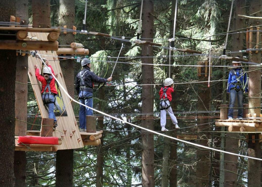 Ferienwohnung Mit Blick In Den Bayrischen Wald Oberhalb Von Sankt Engelmar 圣恩吉玛 外观 照片